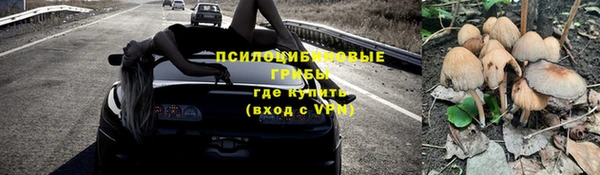 прущие грибы Абдулино