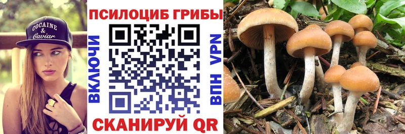 наркотики  Фурманов  Псилоцибиновые грибы ЛСД 