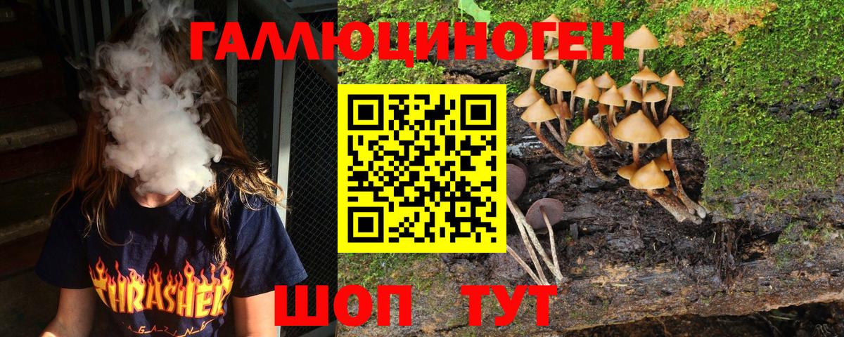 Галлюциногенные грибы MAGIC MUSHROOMS Фурманов