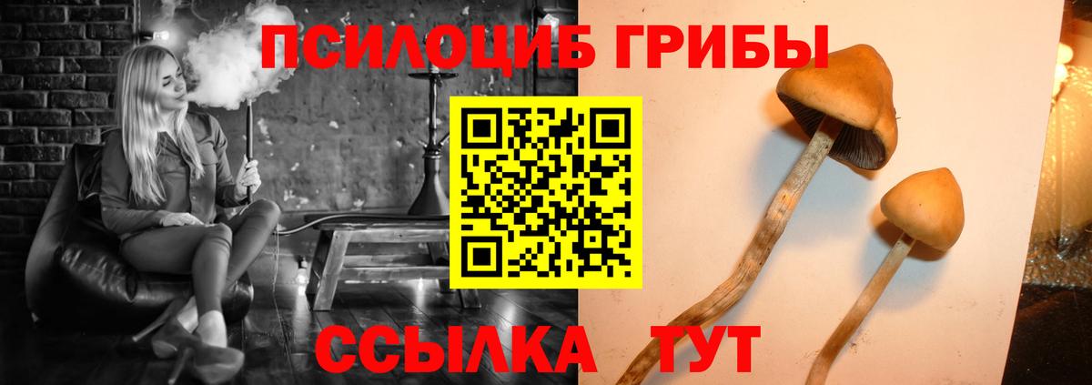 что такое наркотик  Вход с VPN  Фурманов  Галлюциногенные грибы Cubensis 